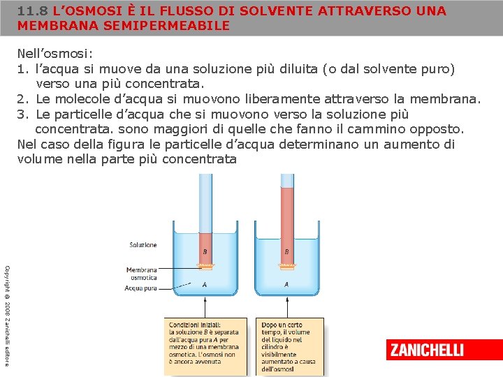 11. 8 L’OSMOSI È IL FLUSSO DI SOLVENTE ATTRAVERSO UNA MEMBRANA SEMIPERMEABILE Nell’osmosi: 1.