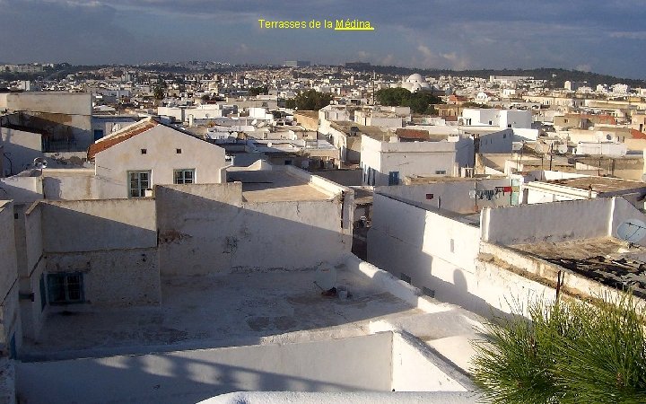 Terrasses de la Médina. 