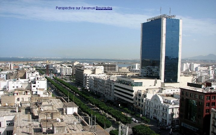 Perspective sur l’avenue Bourguiba 