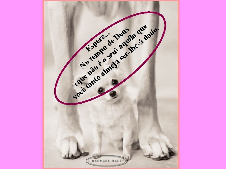 e o. s u. eu o q ad. . e D il d r