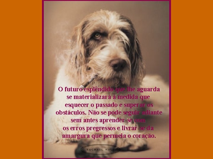 O futuro esplêndido que lhe aguarda se materializará à medida que esquecer o passado
