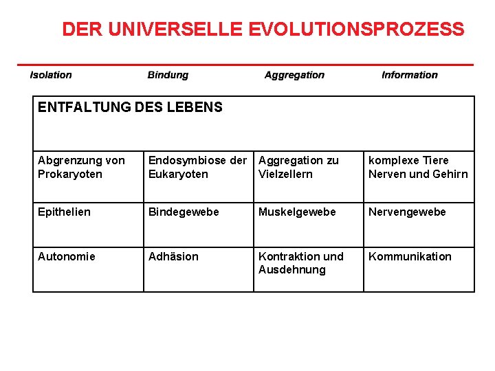 DER UNIVERSELLE EVOLUTIONSPROZESS ENTFALTUNG DES LEBENS Abgrenzung von Prokaryoten Endosymbiose der Eukaryoten Aggregation zu