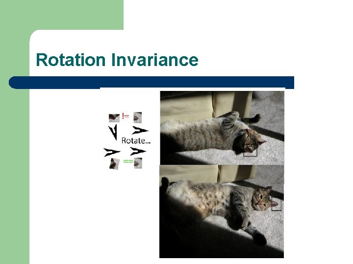 Rotation Invariance 