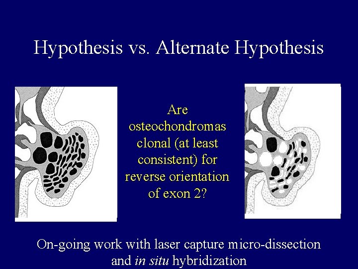 Hypothesis vs. Alternate Hypothesis Are osteochondromas clonal (at least consistent) for reverse orientation of