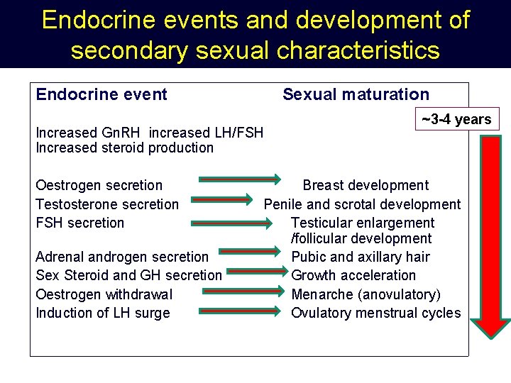 Endocrine events and development of secondary sexual characteristics Endocrine event Sexual maturation Increased Gn.