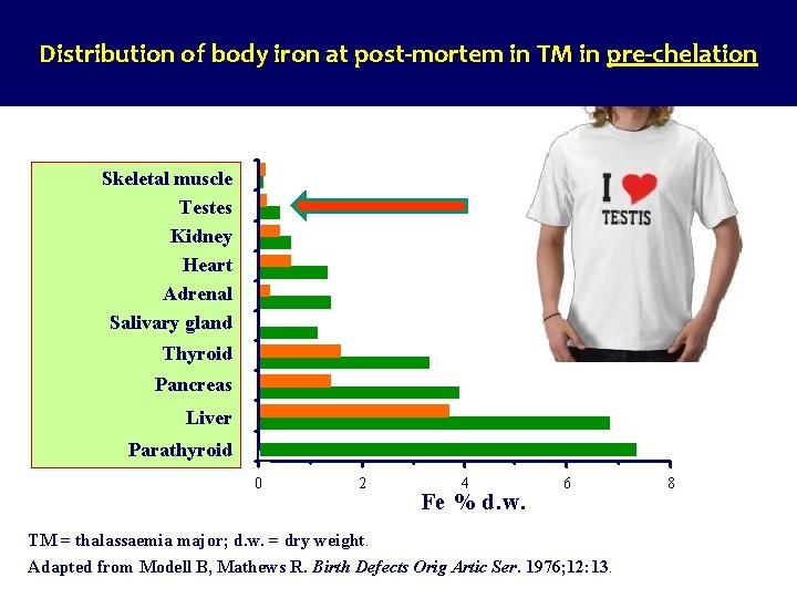 Distribution of body iron at post-mortem in TM in pre-chelation Skeletal muscle Testes Kidney