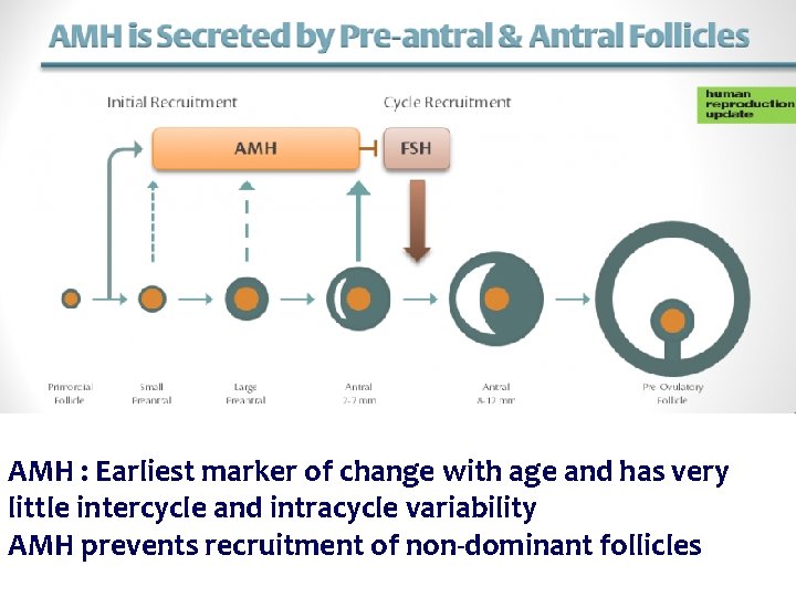 AMH : Earliest marker of change with age and has very little intercycle and