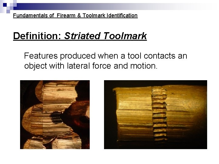 Fundamentals of Firearm & Toolmark Identification Definition: Striated Toolmark Features produced when a tool Fundamentals of Firearm & Toolmark Identification Definition: Striated Toolmark Features produced when a tool