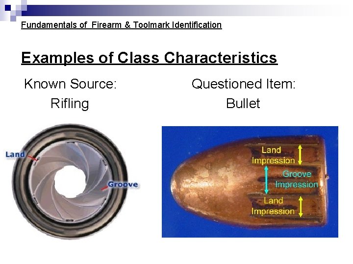 Fundamentals of Firearm & Toolmark Identification Examples of Class Characteristics Known Source: Rifling Questioned Fundamentals of Firearm & Toolmark Identification Examples of Class Characteristics Known Source: Rifling Questioned