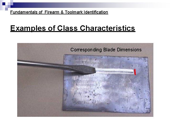 Fundamentals of Firearm & Toolmark Identification Examples of Class Characteristics Corresponding Blade Dimensions Fundamentals of Firearm & Toolmark Identification Examples of Class Characteristics Corresponding Blade Dimensions