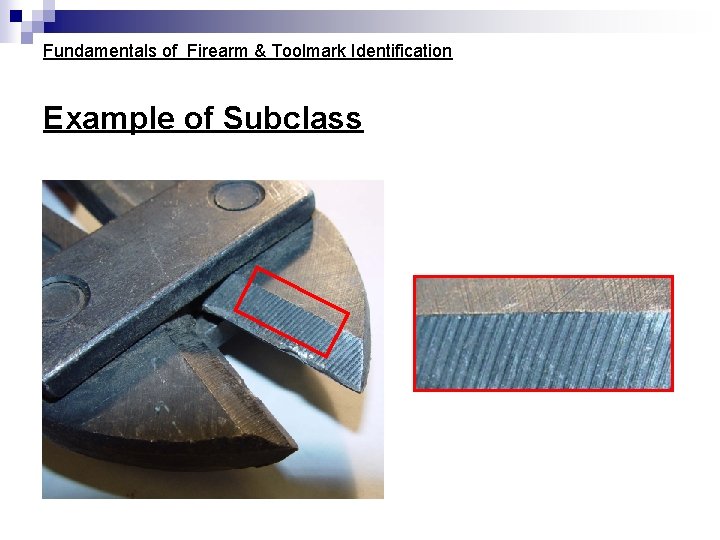 Fundamentals of Firearm & Toolmark Identification Example of Subclass Fundamentals of Firearm & Toolmark Identification Example of Subclass
