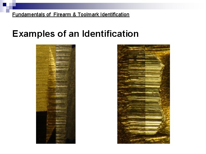Fundamentals of Firearm & Toolmark Identification Examples of an Identification Fundamentals of Firearm & Toolmark Identification Examples of an Identification