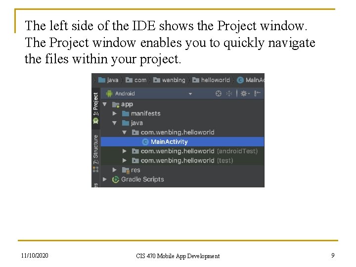 The left side of the IDE shows the Project window. The Project window enables