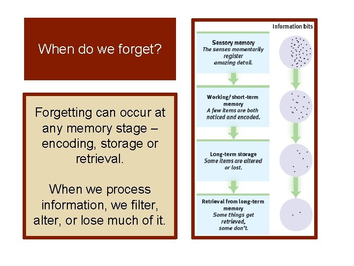 When do we forget? Forgetting can occur at any memory stage – encoding, storage