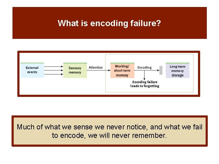 What is encoding failure? Much of what we sense we never notice, and what