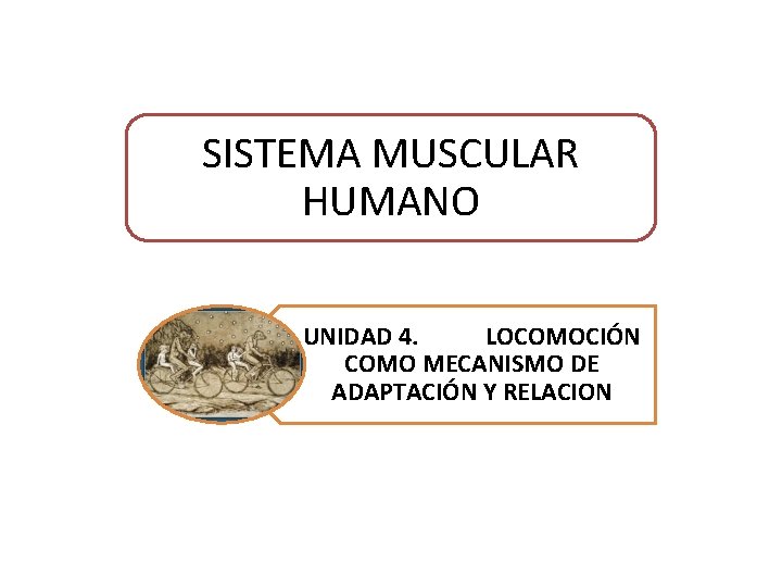 SISTEMA MUSCULAR HUMANO UNIDAD 4. LOCOMOCIÓN COMO MECANISMO DE ADAPTACIÓN Y RELACION 