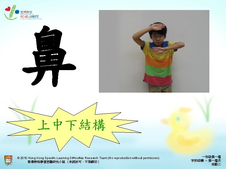 鼻 上中下結構 © 2010 Hong Kong Specific Learning Difficulties Research Team (No reproduction without