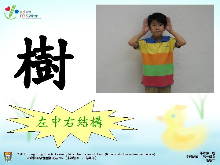 樹 左中右結構 © 2010 Hong Kong Specific Learning Difficulties Research Team (No reproduction without