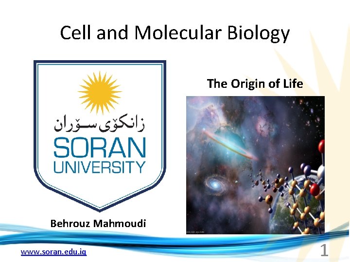Cell and Molecular Biology The Origin of Life Behrouz Mahmoudi www. soran. edu. iq