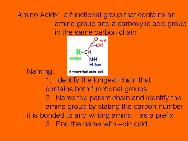 Amino Acids: a functional group that contains an amine group and a carboxylic acid
