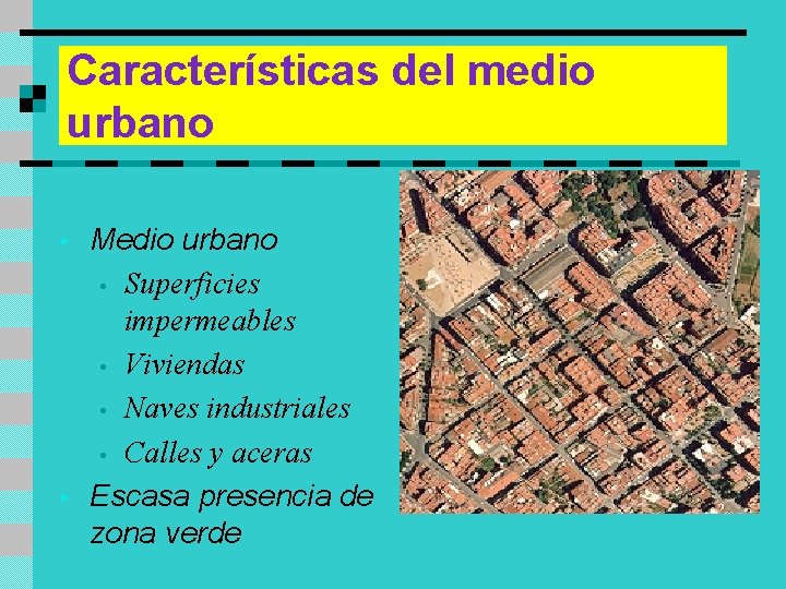 Características del medio urbano • • Medio urbano • Superficies impermeables • Viviendas •
