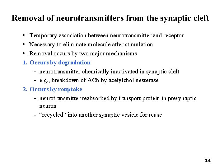 Removal of neurotransmitters from the synaptic cleft • • • 1. Temporary association between Removal of neurotransmitters from the synaptic cleft • • • 1. Temporary association between