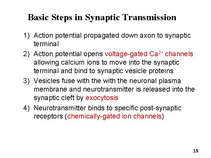 Basic Steps in Synaptic Transmission 1) Action potential propagated down axon to synaptic terminal Basic Steps in Synaptic Transmission 1) Action potential propagated down axon to synaptic terminal
