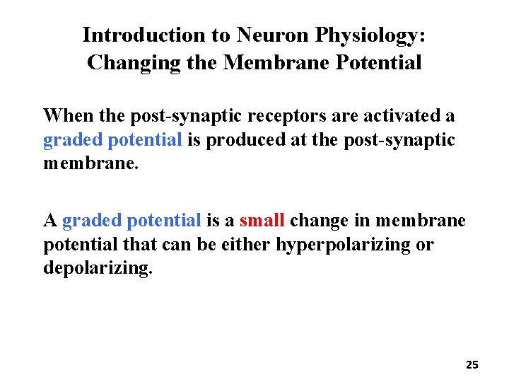 Introduction to Neuron Physiology: Changing the Membrane Potential When the post-synaptic receptors are activated