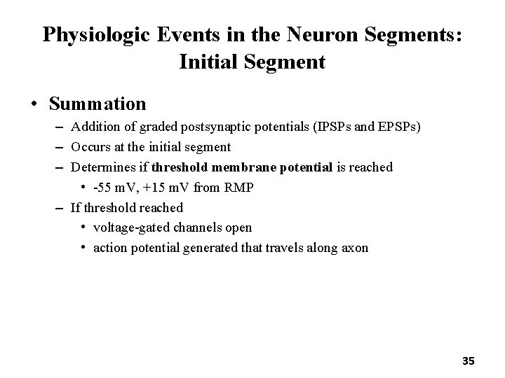 Physiologic Events in the Neuron Segments: Initial Segment • Summation – Addition of graded