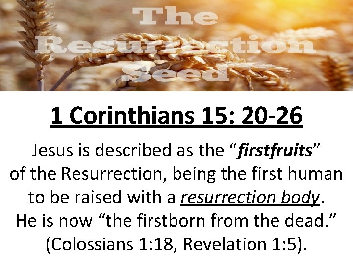 1 Corinthians 15: 20 -26 Jesus is described as the “firstfruits” of the Resurrection,