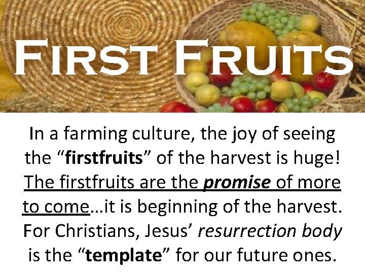 In a farming culture, the joy of seeing the “firstfruits” of the harvest is