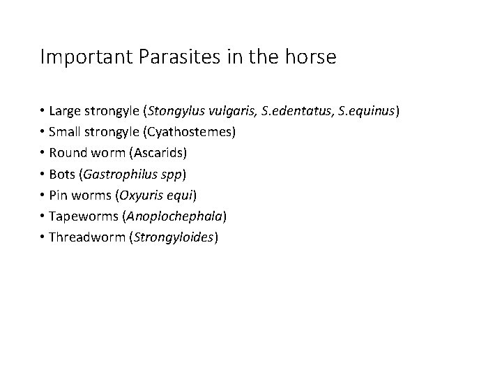 Important Parasites in the horse • Large strongyle (Stongylus vulgaris, S. edentatus, S. equinus)