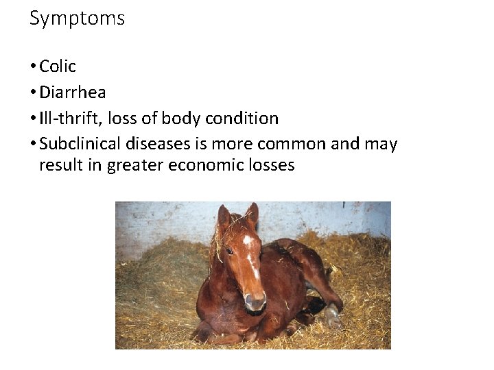 Symptoms • Colic • Diarrhea • Ill-thrift, loss of body condition • Subclinical diseases