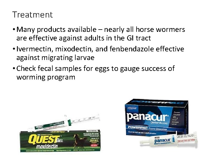 Treatment • Many products available – nearly all horse wormers are effective against adults