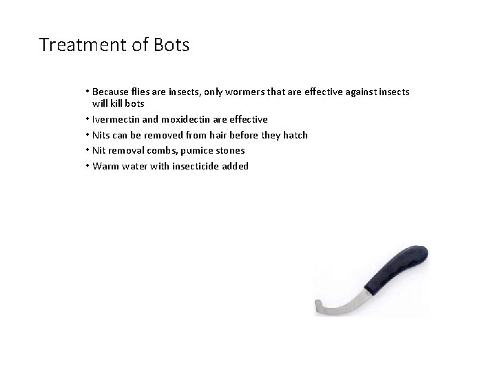 Treatment of Bots • Because flies are insects, only wormers that are effective against