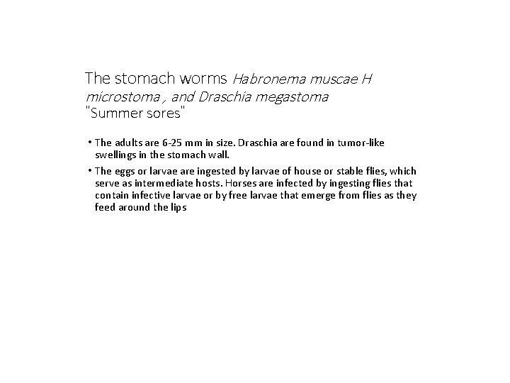 The stomach worms Habronema muscae H microstoma , and Draschia megastoma “Summer sores” •