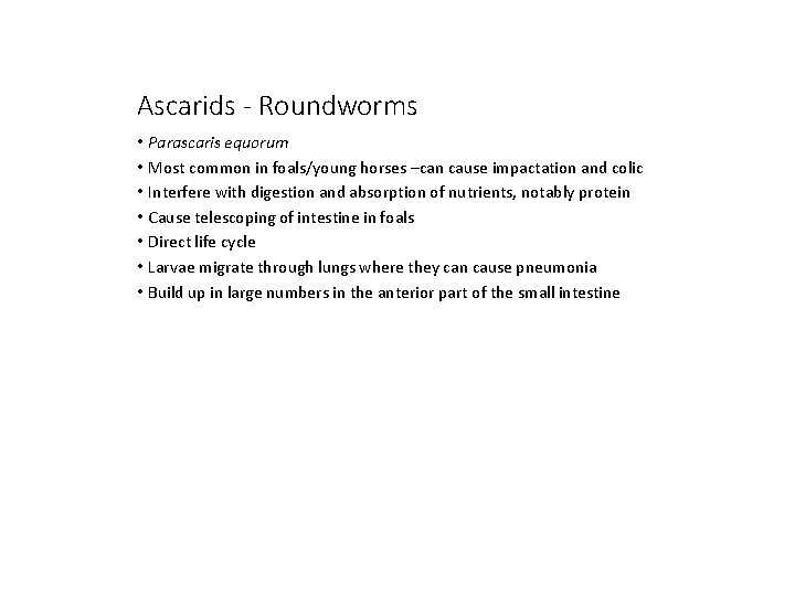 Ascarids - Roundworms • Parascaris equorum • Most common in foals/young horses –can cause