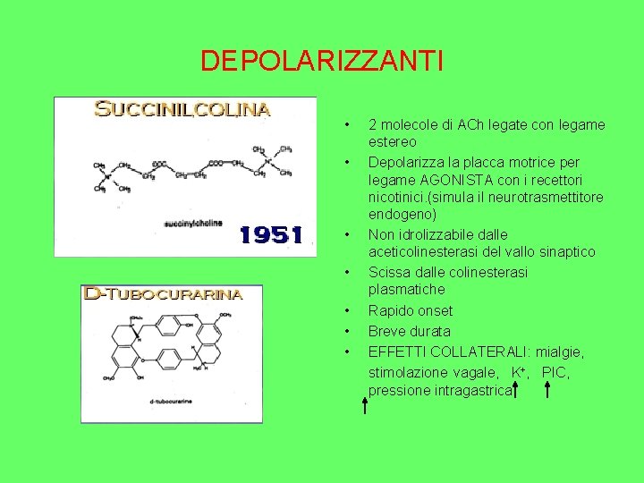 DEPOLARIZZANTI • • 2 molecole di ACh legate con legame estereo Depolarizza la placca