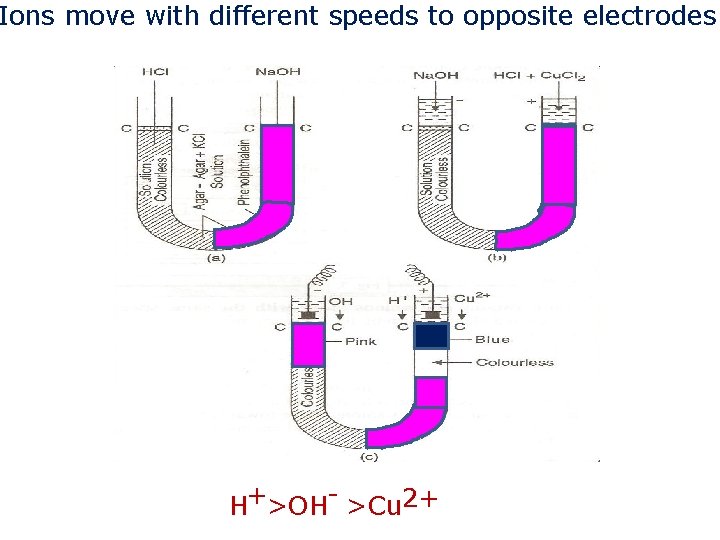 Ions move with different speeds to opposite electrodes H+>OH- >Cu 2+ 