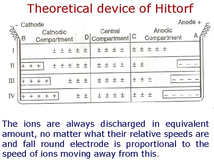 Theoretical device of Hittorf The ions are always discharged in equivalent amount, no matter