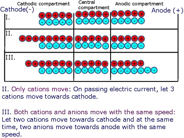 Cathodic compartment Central compartment Anodic compartment Cathode(-) +++++ + + + I. - -