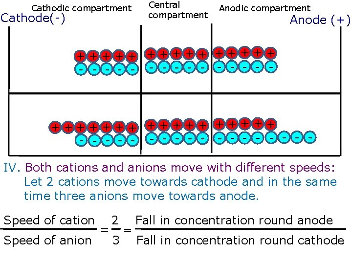 Cathodic compartment Cathode(-) Central compartment Anodic compartment Anode (+) +++++ - - - -