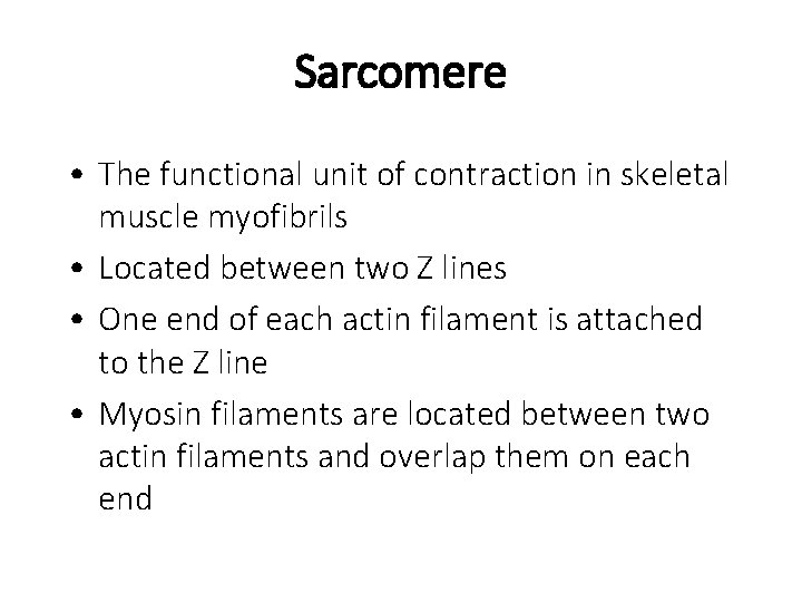 Sarcomere • The functional unit of contraction in skeletal muscle myofibrils • Located between
