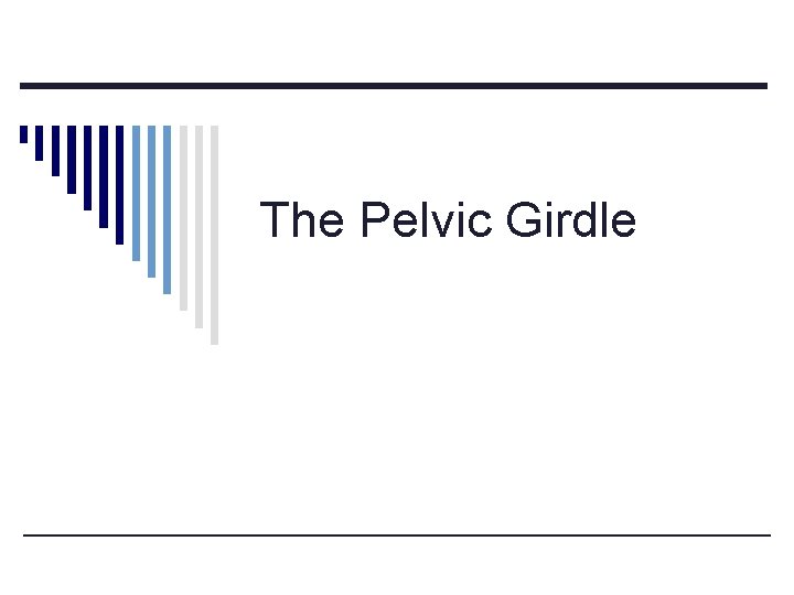 The Pelvic Girdle The Pelvic Girdle