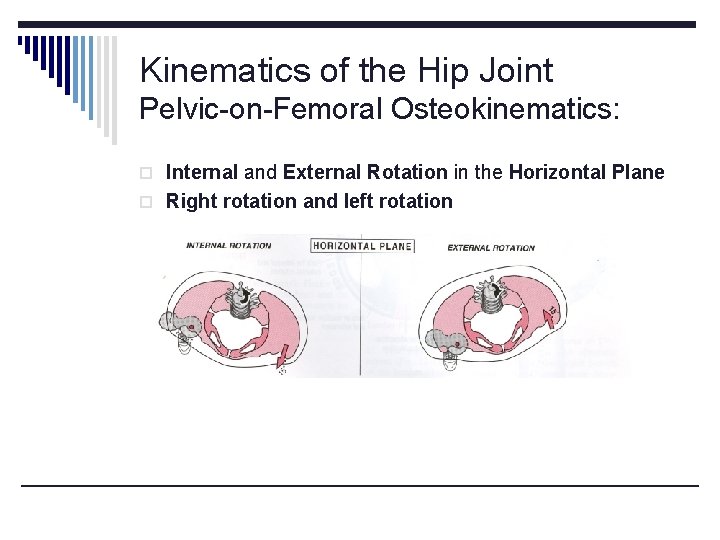 Kinematics of the Hip Joint Pelvic-on-Femoral Osteokinematics: o Internal and External Rotation in the