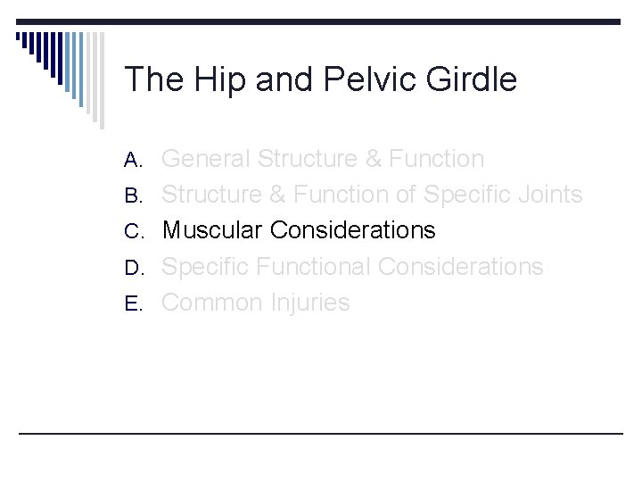 The Hip and Pelvic Girdle A. General Structure & Function B. Structure & Function The Hip and Pelvic Girdle A. General Structure & Function B. Structure & Function