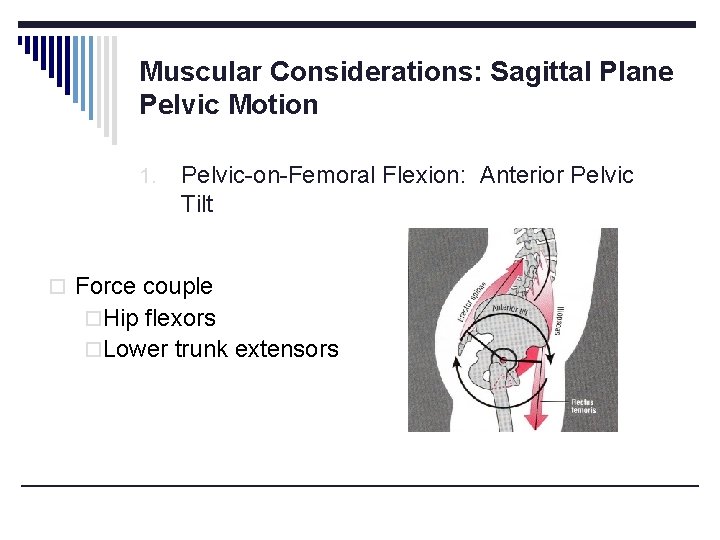 Muscular Considerations: Sagittal Plane Pelvic Motion 1. Pelvic-on-Femoral Flexion: Anterior Pelvic Tilt o Force