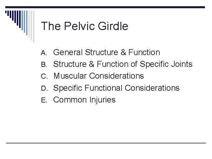 The Pelvic Girdle A. General Structure & Function B. Structure & Function of Specific The Pelvic Girdle A. General Structure & Function B. Structure & Function of Specific