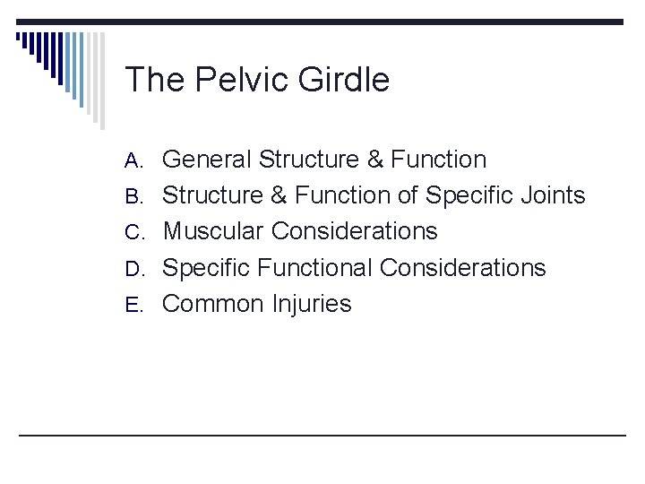 The Pelvic Girdle A. General Structure & Function B. Structure & Function of Specific