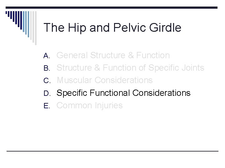 The Hip and Pelvic Girdle A. General Structure & Function B. Structure & Function The Hip and Pelvic Girdle A. General Structure & Function B. Structure & Function
